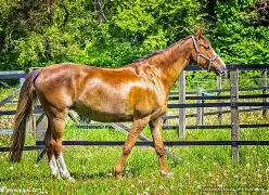 9体育-金灿荣台湾不能再等了